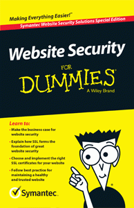 Website Security for Dummies